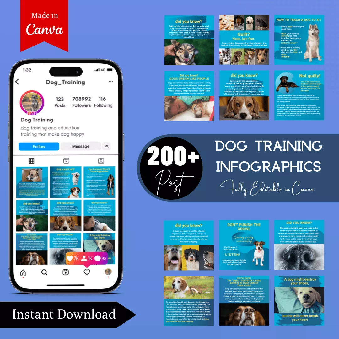 Dogs Training Infographic Ready to Post Canva Editable Templates