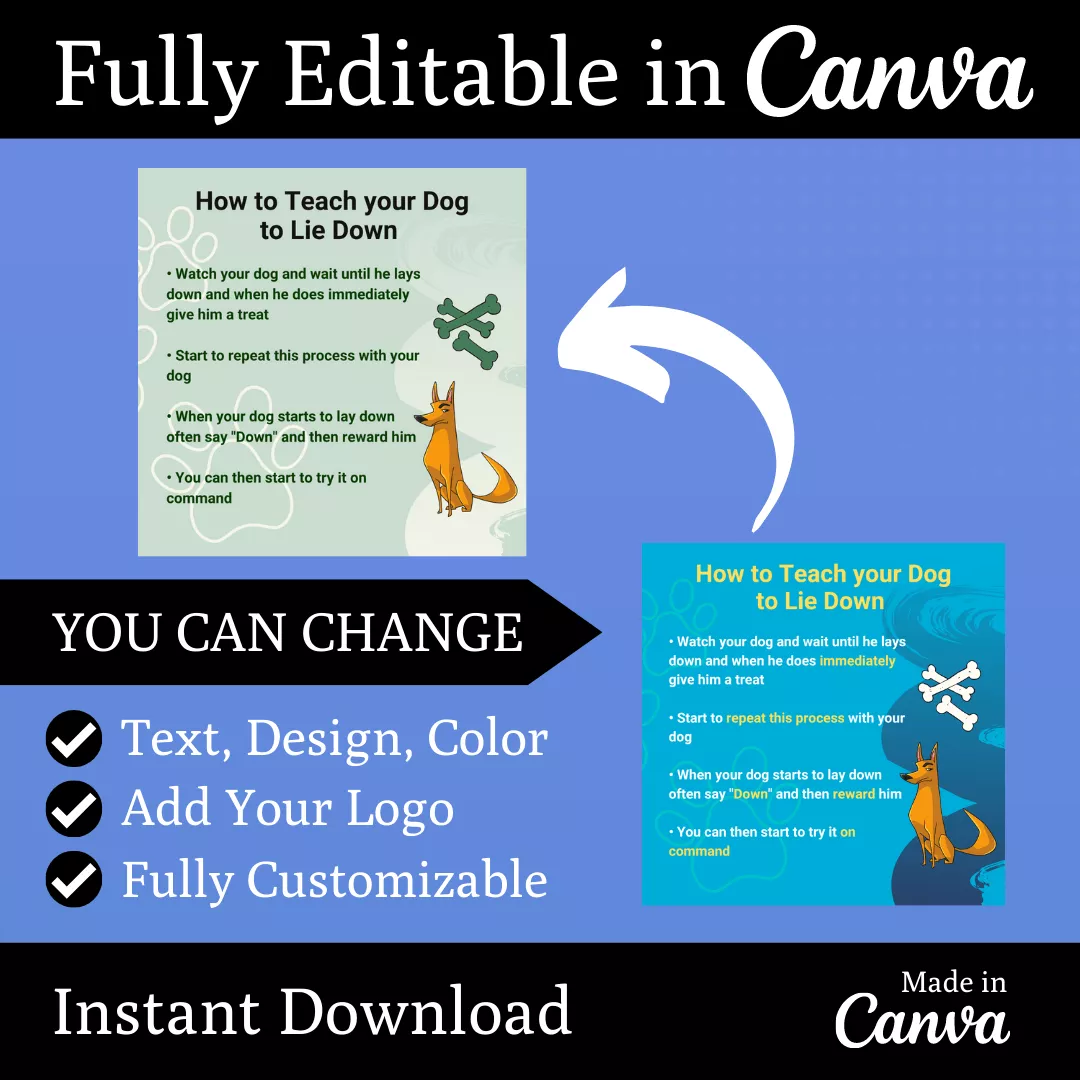 Dogs Training Infographic Ready to Post Canva Editable Templates - Image 3
