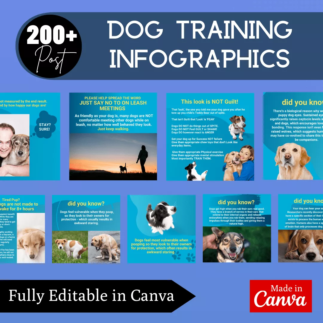 Dogs Training Infographic Ready to Post Canva Editable Templates - Image 5