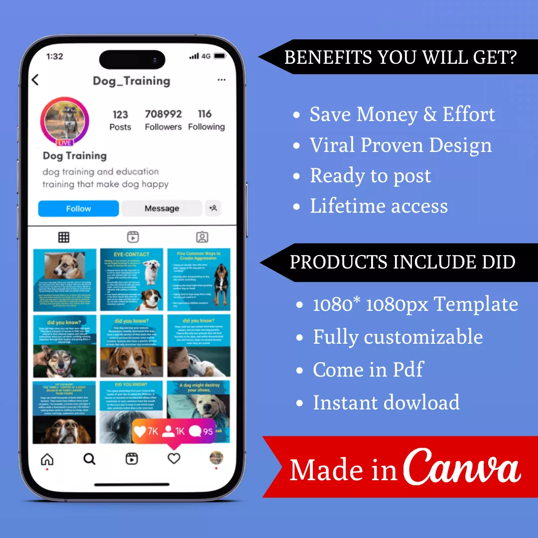 Dogs Training Infographic Ready to Post Canva Editable Templates - Image 2