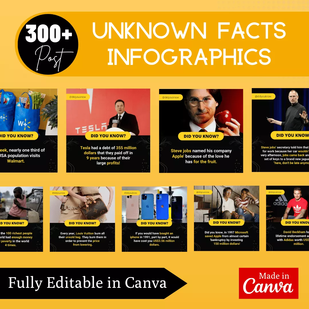 Unknown facts Infographic Ready Made Canva Social Media Templates - Image 3
